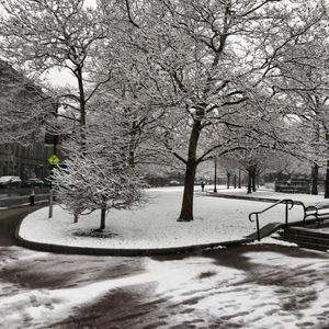 Meet your Posher, Ricardo